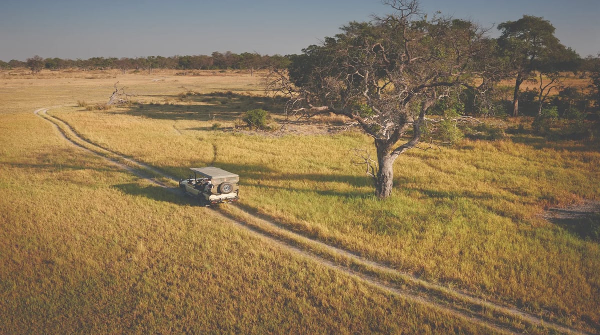 Belmond Eagle Island Lodge game drive 2