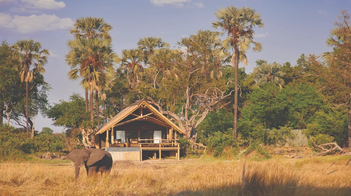 Belmond Eagle Island Lodge lodge with elephant