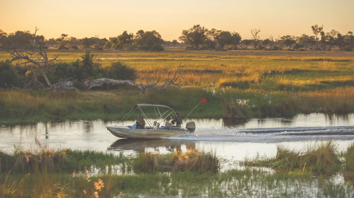 Belmond Eagle Island Lodge river game viewing 2