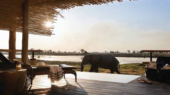 Belmond Eagle Island Lodge view of wetlands and elephant