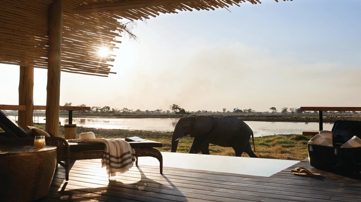 Belmond Eagle Island Lodge view of wetlands and elephant