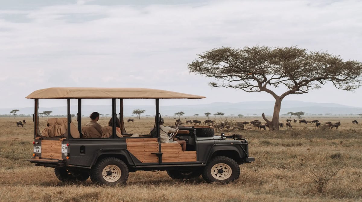 LABALABA Grumeti Art Lodge game drive