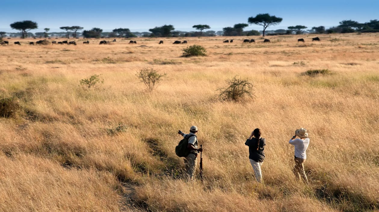 Tanzania Grumeti Serengeti Guided Nature Walk