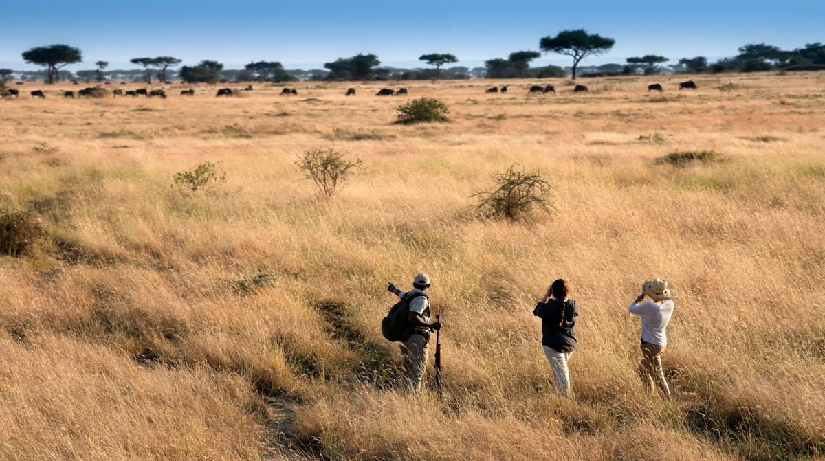 Tanzania Grumeti Serengeti Guided Nature Walk