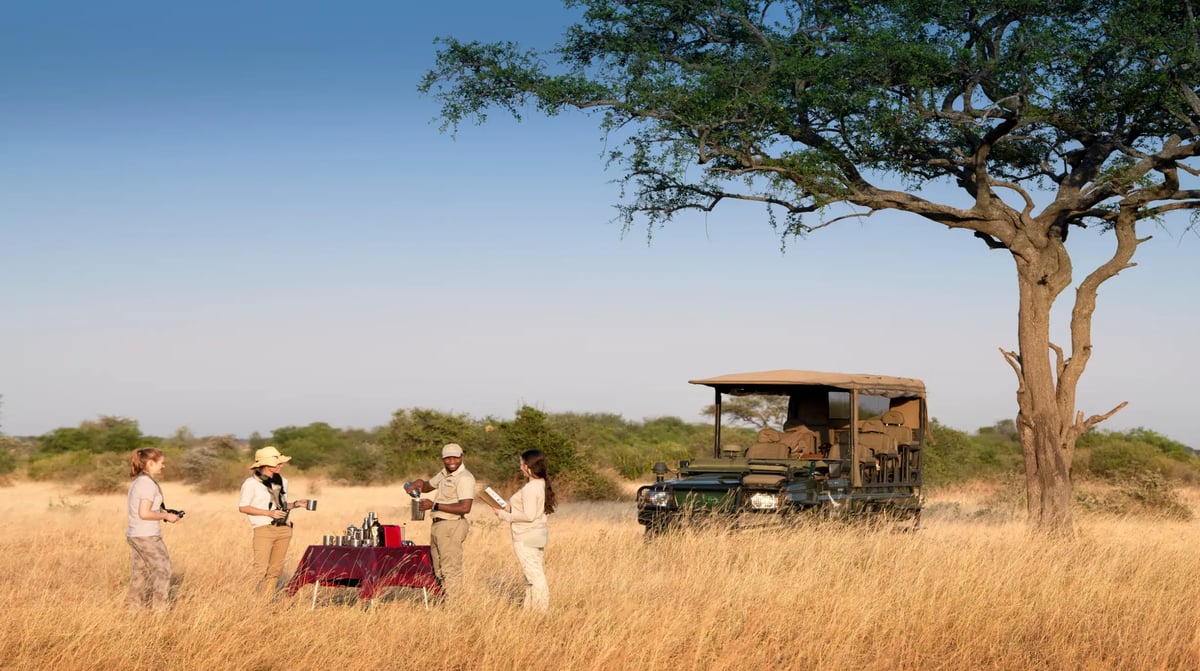 Tanzania Grumeti Serengeti Safari Game Drive Morning Coffee