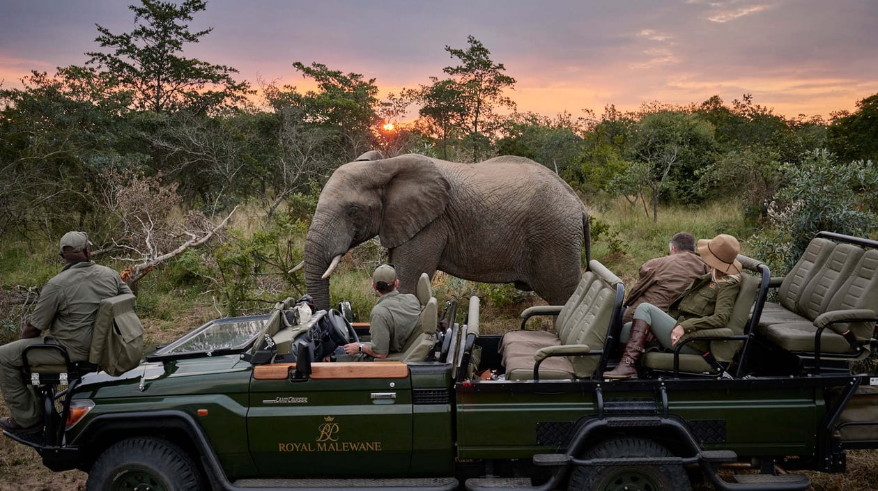 Zuid-AFrika safari