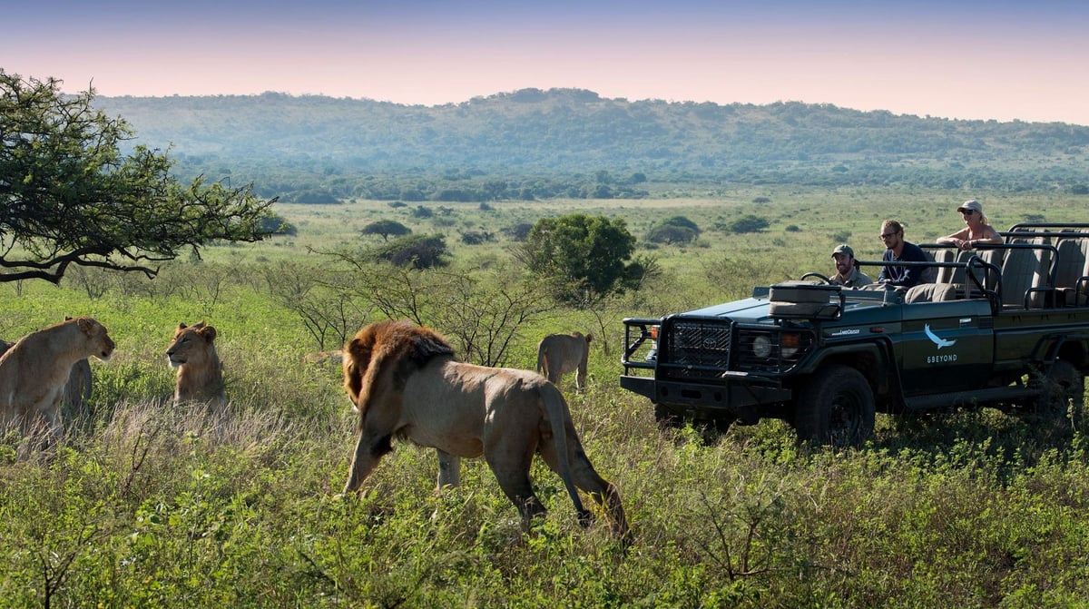 Zuid-AFrika safari1