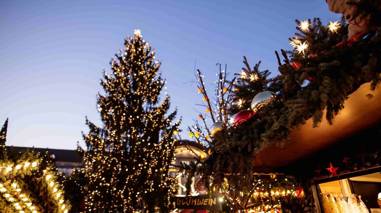 Kerstcruise over de Rijn kerstboom