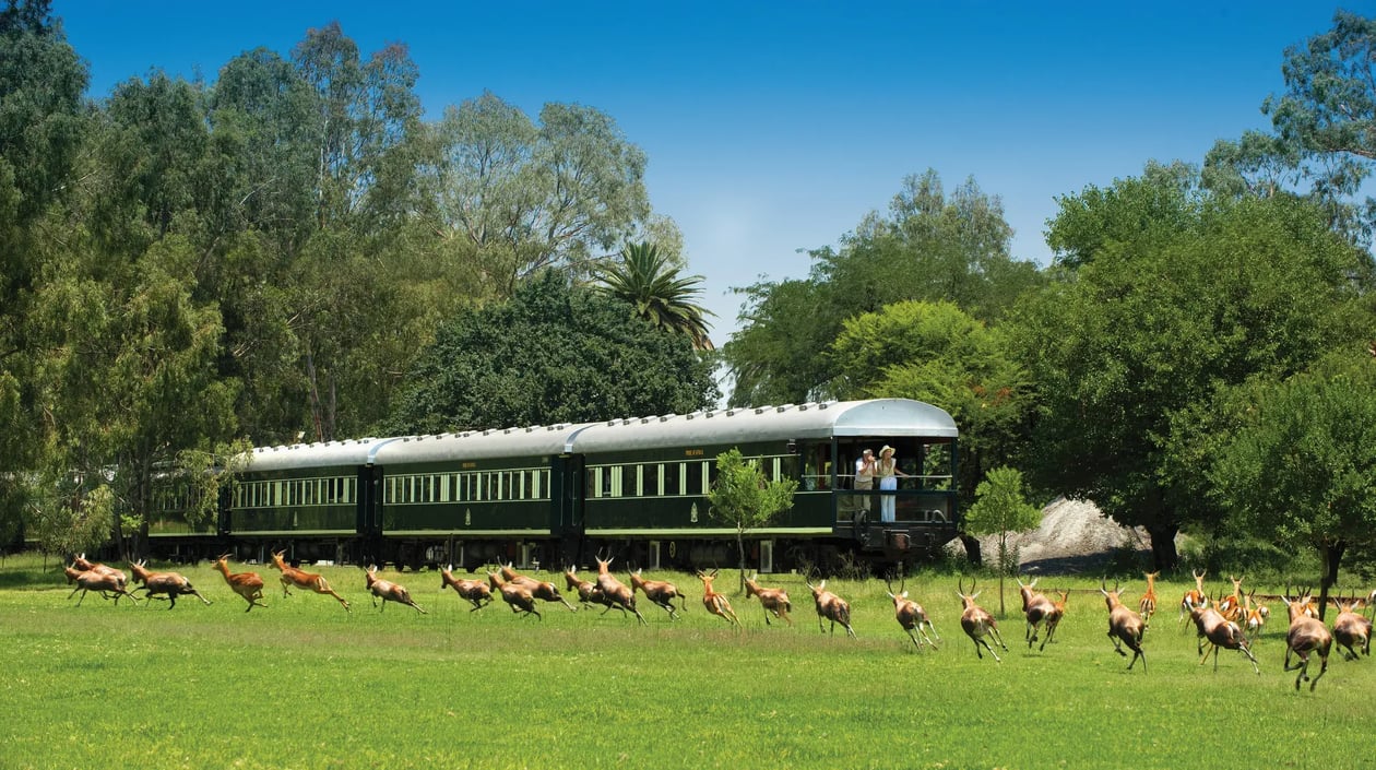 Rovos Rail treinreis Afrika (2)