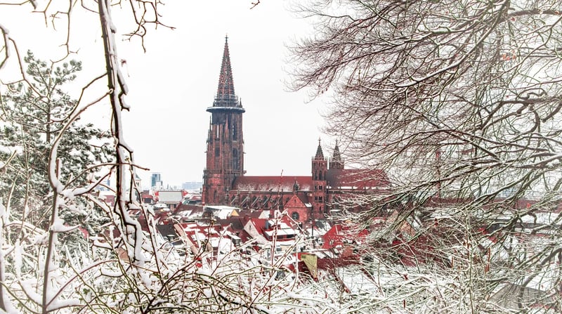 Münster, besneeuwde dom, shutterstock_1309382569