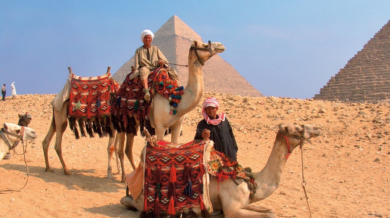 Egypte - Piramide - Kameel