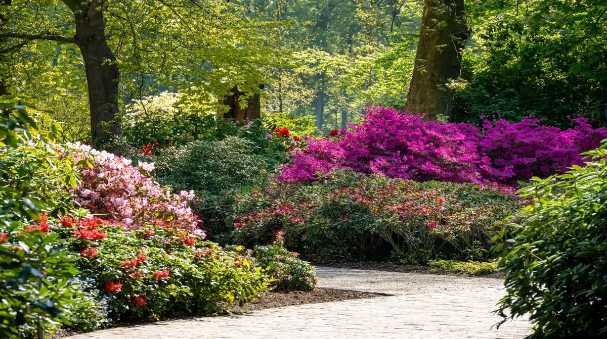 KasteeltuinenArcen_lente (26) (1)
