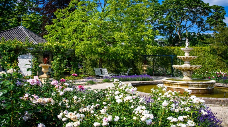 KasteeltuinenArcen_zomer (37)