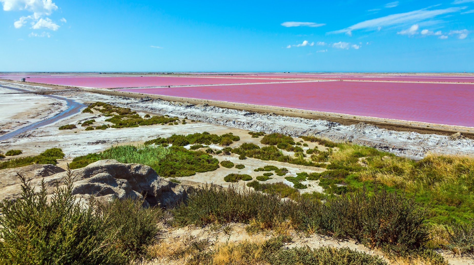 Camargue, roze zoutwatermonding 