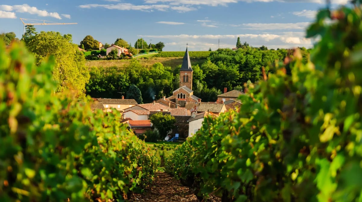 Beaujolais 01